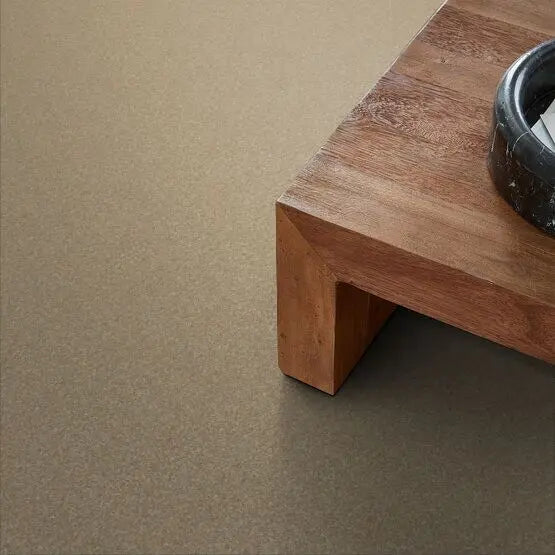 Pet Perfect - Pawparazzi II - Carpet Anderson Tuftex