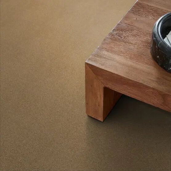 Pet Perfect - Pawparazzi II - Carpet Anderson Tuftex
