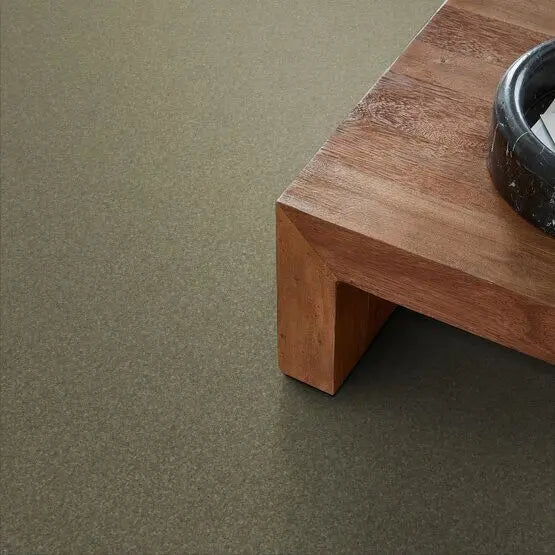 Pet Perfect - Pawparazzi II - Carpet Anderson Tuftex