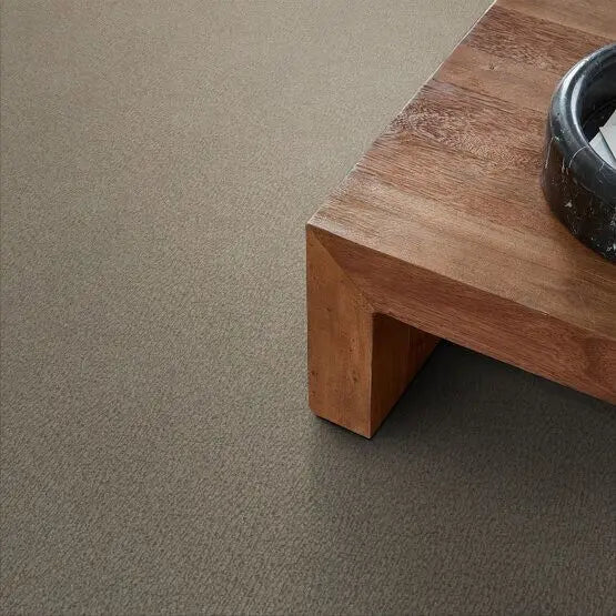 Pet Perfect - Fur-Ever - Carpet Anderson Tuftex