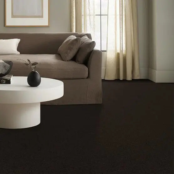 Pet Perfect - Cooper - Carpet Anderson Tuftex