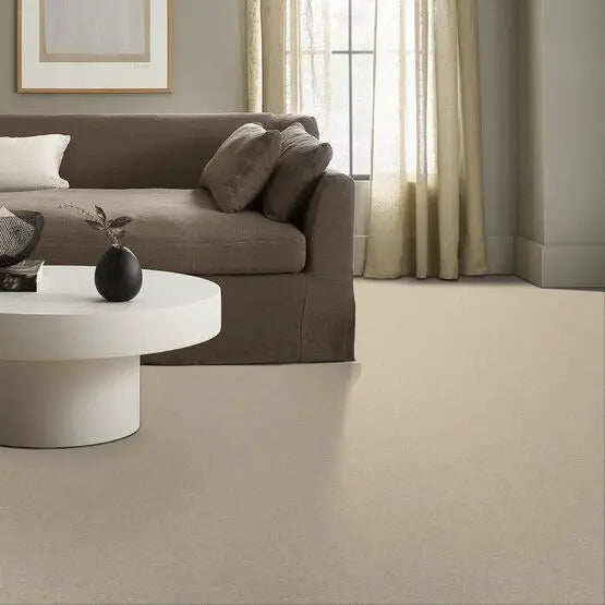 Pet Perfect - Sasha - Carpet Anderson Tuftex