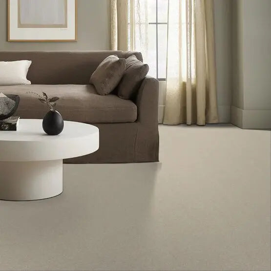 Pet Perfect - Sasha - Carpet Anderson Tuftex