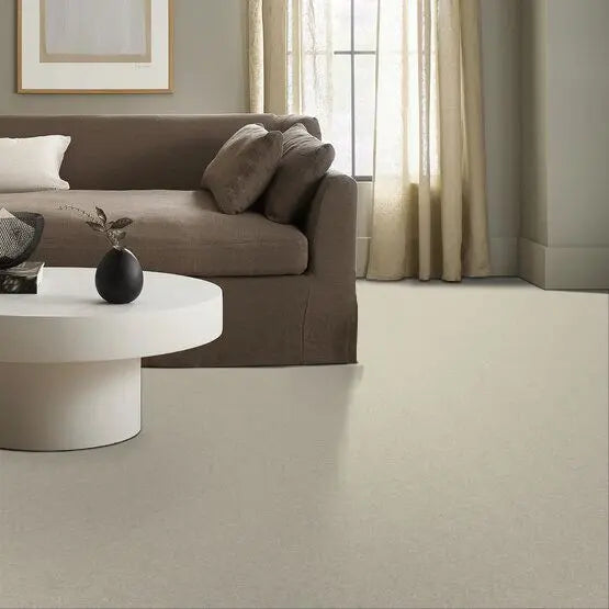 Pet Perfect - Sasha - Carpet Anderson Tuftex