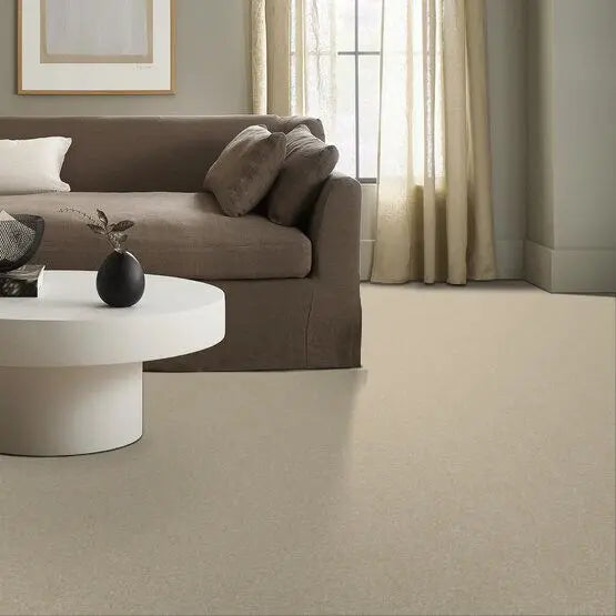 Pet Perfect - Sasha - Carpet Anderson Tuftex