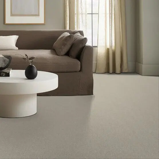 Pet Perfect - Sasha - Carpet Anderson Tuftex