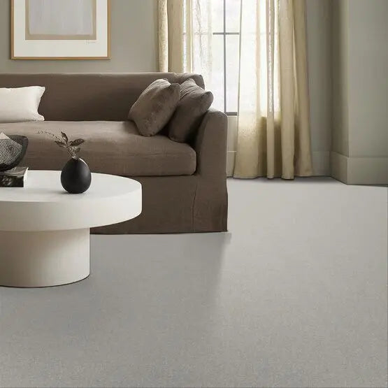 Pet Perfect - Sasha - Carpet Anderson Tuftex