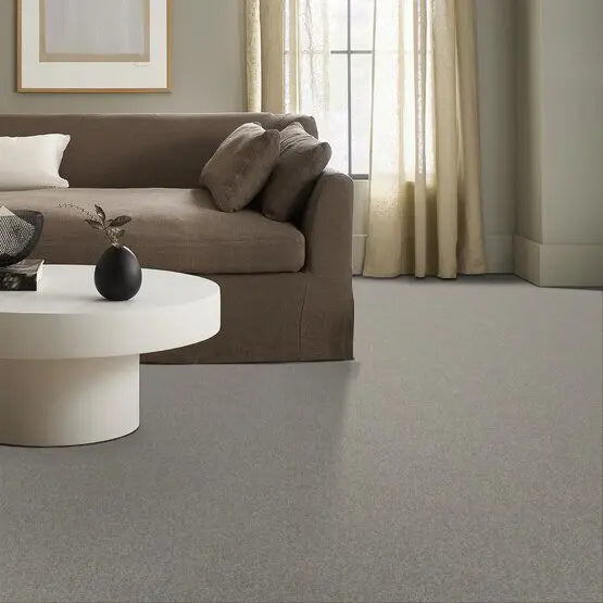 Pet Perfect - Sasha - Carpet Anderson Tuftex