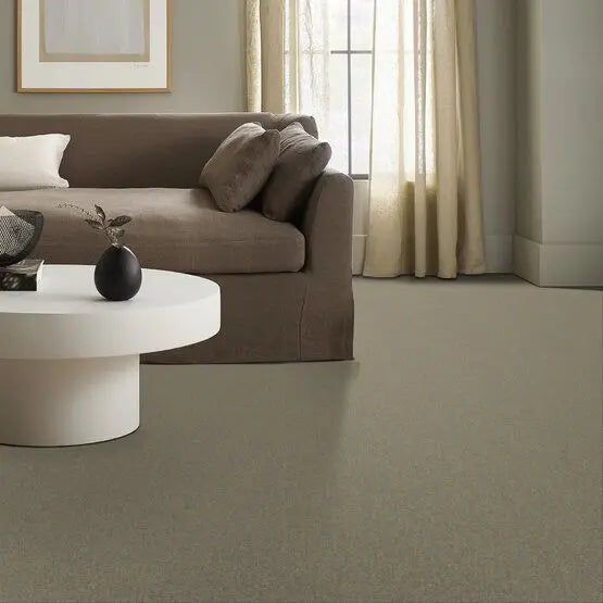 Pet Perfect - Sasha - Carpet Anderson Tuftex