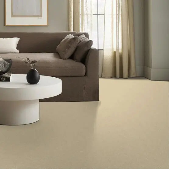 Pet Perfect - Sasha - Carpet Anderson Tuftex