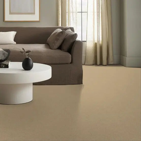 Pet Perfect - Sasha - Carpet Anderson Tuftex