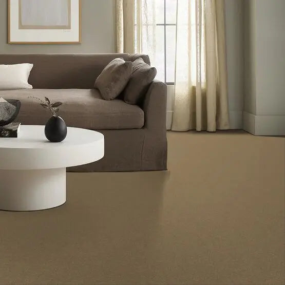 Pet Perfect - Sasha - Carpet Anderson Tuftex