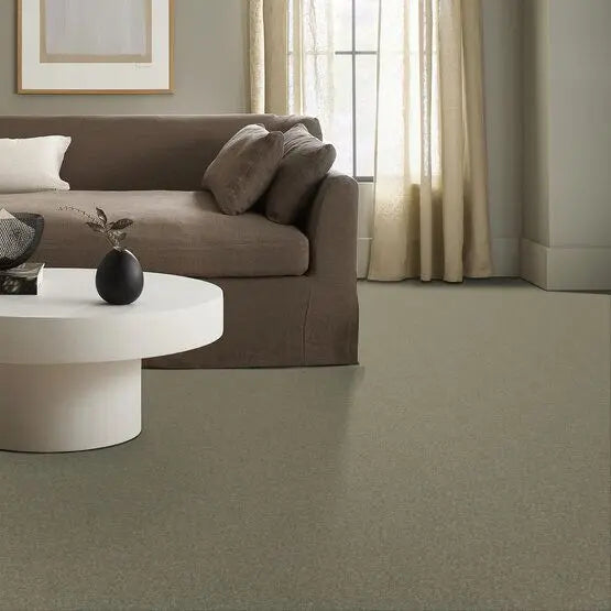 Pet Perfect - Sasha - Carpet Anderson Tuftex