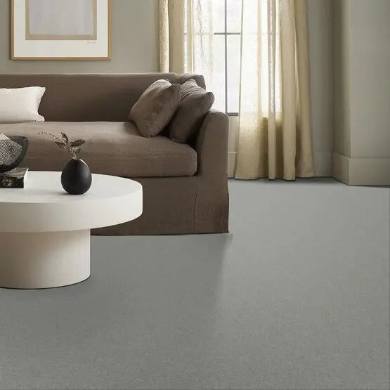 Pet Perfect - Sasha - Carpet Anderson Tuftex