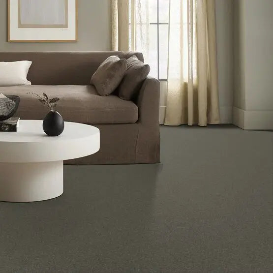 Pet Perfect - Sasha - Carpet Anderson Tuftex