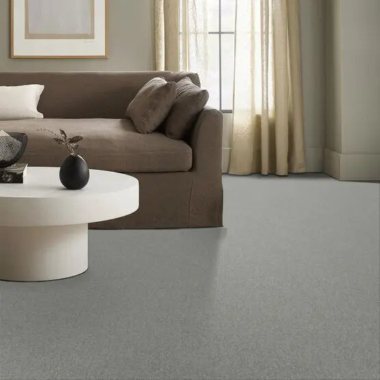 Pet Perfect - Sasha - Carpet Anderson Tuftex