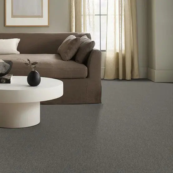 Pet Perfect - Sasha - Carpet Anderson Tuftex
