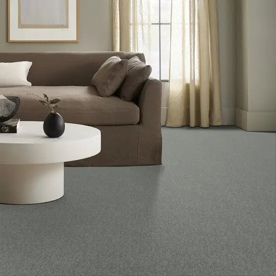 Pet Perfect - Sasha - Carpet Anderson Tuftex