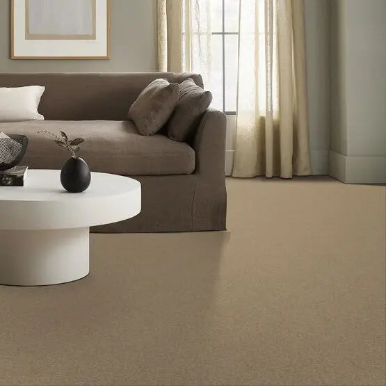 Pet Perfect - Sasha - Carpet Anderson Tuftex