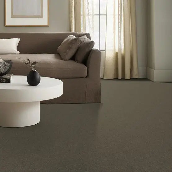 Pet Perfect - Sasha - Carpet Anderson Tuftex