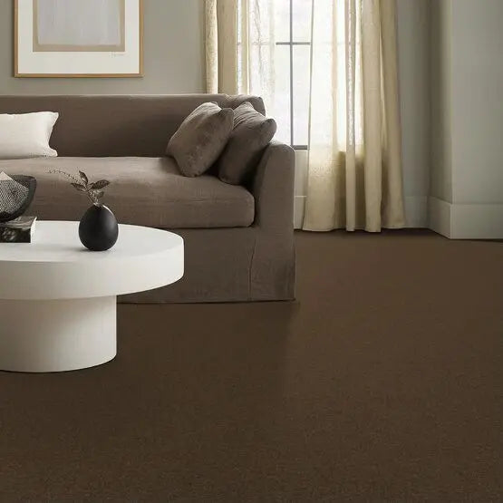 Pet Perfect - Sasha - Carpet Anderson Tuftex