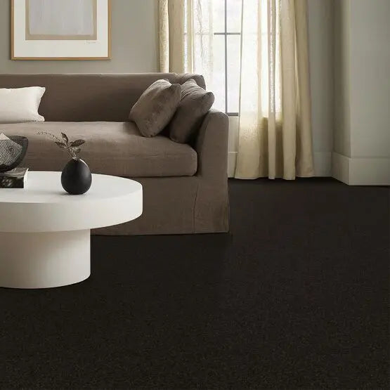 Pet Perfect - Sasha - Carpet Anderson Tuftex