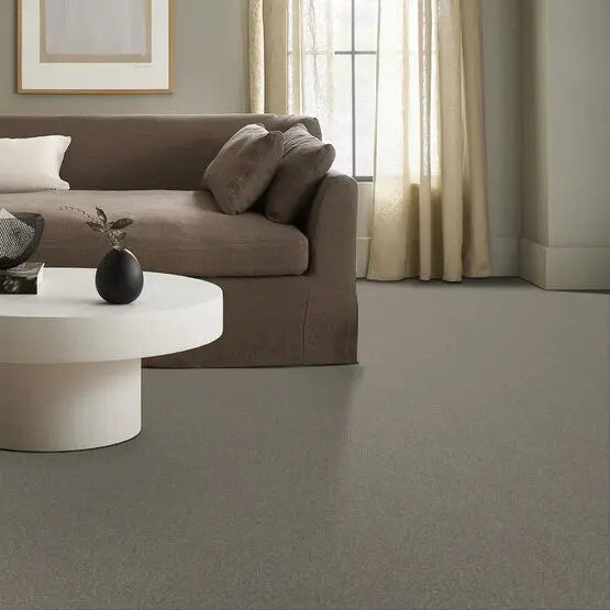 Pet Perfect - Sasha - Carpet Anderson Tuftex