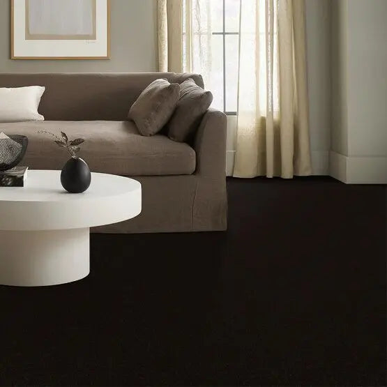 Pet Perfect - Gus - Carpet Anderson Tuftex