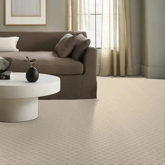 Pet Perfect - Springer's Point - Carpet Anderson Tuftex