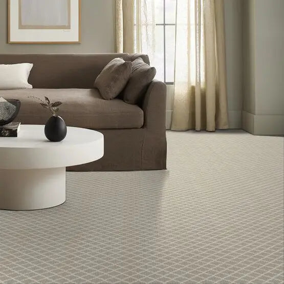 Pet Perfect - Springer's Point - Carpet Anderson Tuftex