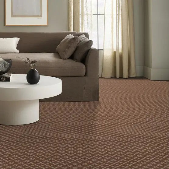 Pet Perfect - Springer's Point - Carpet Anderson Tuftex
