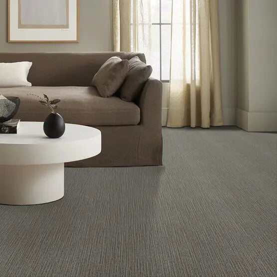 Pet Perfect - Chase - Carpet Anderson Tuftex