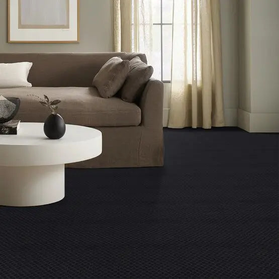 Pet Perfect - Pawnache - Carpet Anderson Tuftex