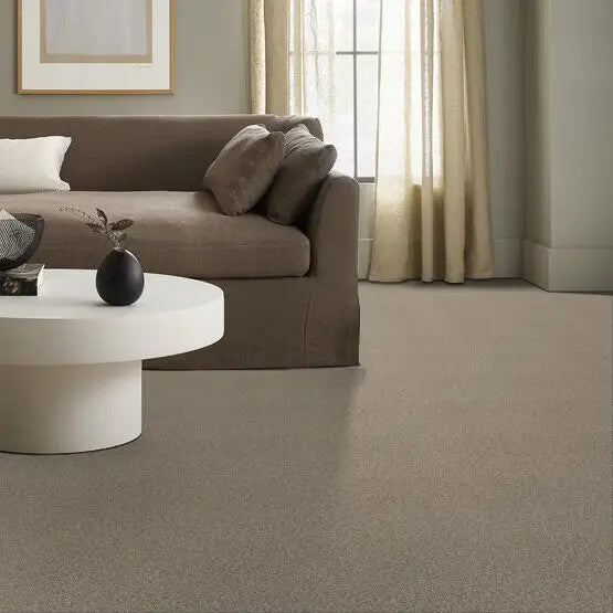 Pet Perfect - The Bark Side II - Carpet Anderson Tuftex