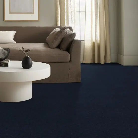 Pet Perfect - Pawparazzi I - Carpet Anderson Tuftex