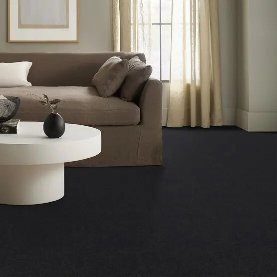 Pet Perfect - Pawparazzi I - Carpet Anderson Tuftex