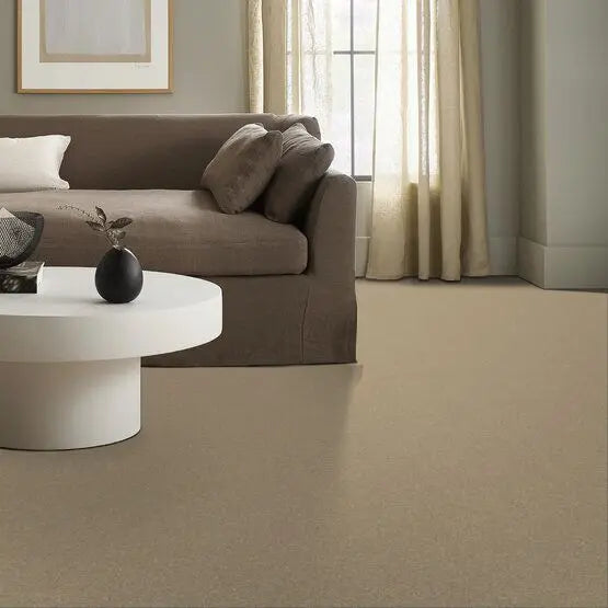 Pet Perfect - Pawparazzi II - Carpet Anderson Tuftex