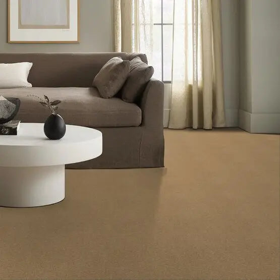 Pet Perfect - Pawparazzi II - Carpet Anderson Tuftex