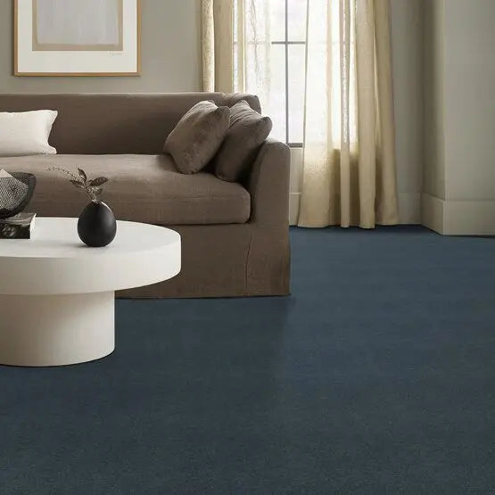 Pet Perfect - Pawparazzi II - Carpet Anderson Tuftex