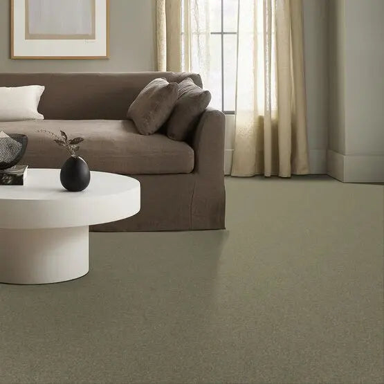 Pet Perfect - Pawparazzi II - Carpet Anderson Tuftex