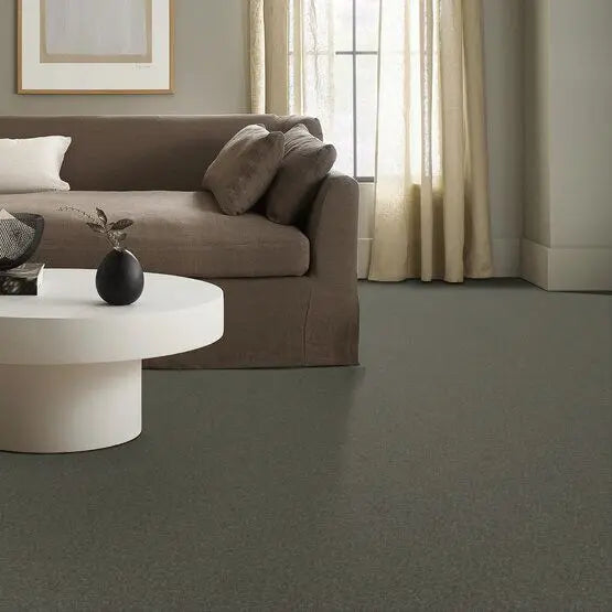 Pet Perfect - Pawparazzi II - Carpet Anderson Tuftex