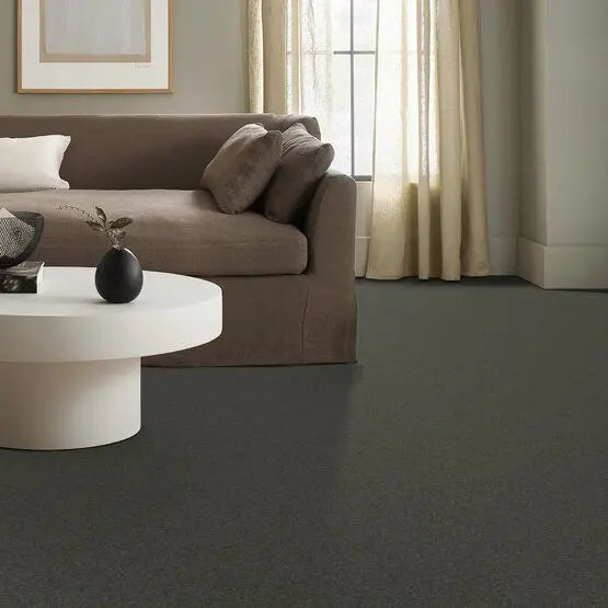 Pet Perfect - Pawparazzi II - Carpet Anderson Tuftex