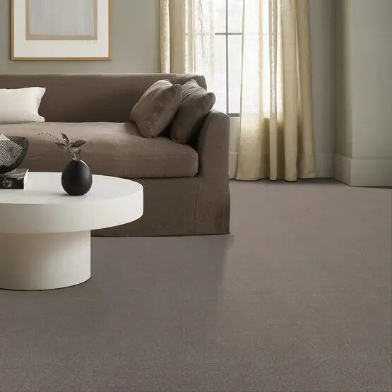 Classics - Explorer - Carpet Anderson Tuftex