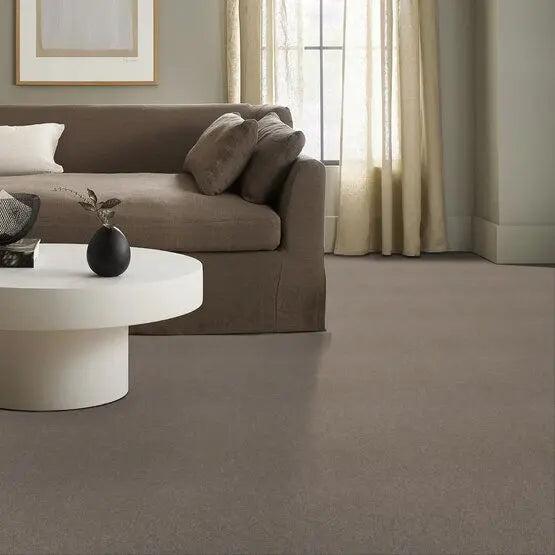 Classics - Explorer - Carpet Anderson Tuftex