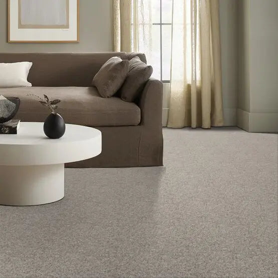Classics - Explorer - Carpet Anderson Tuftex