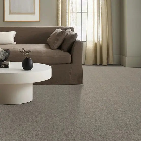 Classics - Explorer - Carpet Anderson Tuftex