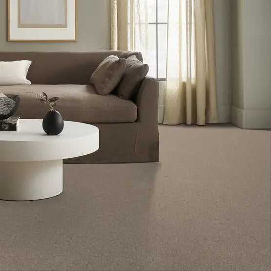 Classics - Terra Nova - Carpet Anderson Tuftex