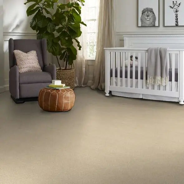 Colorwall - Tonal Comfort I - Carpet Shaw Floors