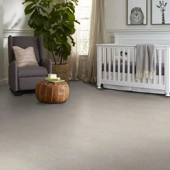 Colorwall - Tonal Comfort I - Carpet Shaw Floors
