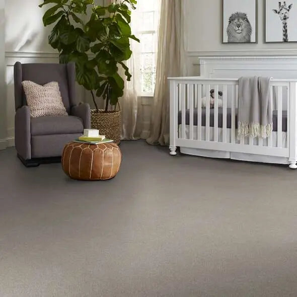 Colorwall - Tonal Comfort I - Carpet Shaw Floors